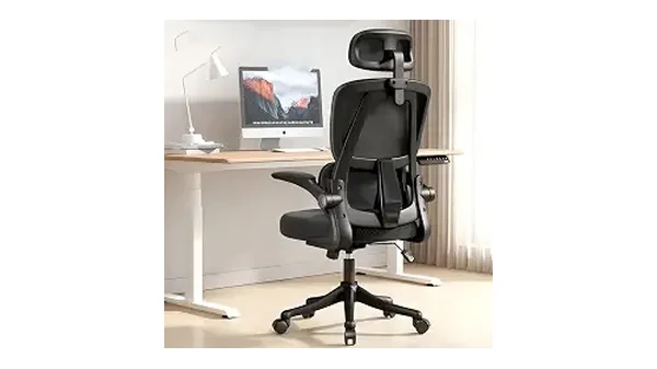 10 Melhores Cadeiras Ergonômicas em Mesh com Suporte Lombar