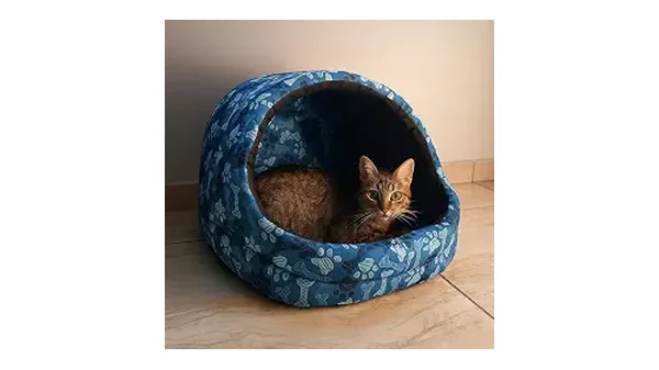 10 Melhores Camas para Gatos Que Amam se Esconder